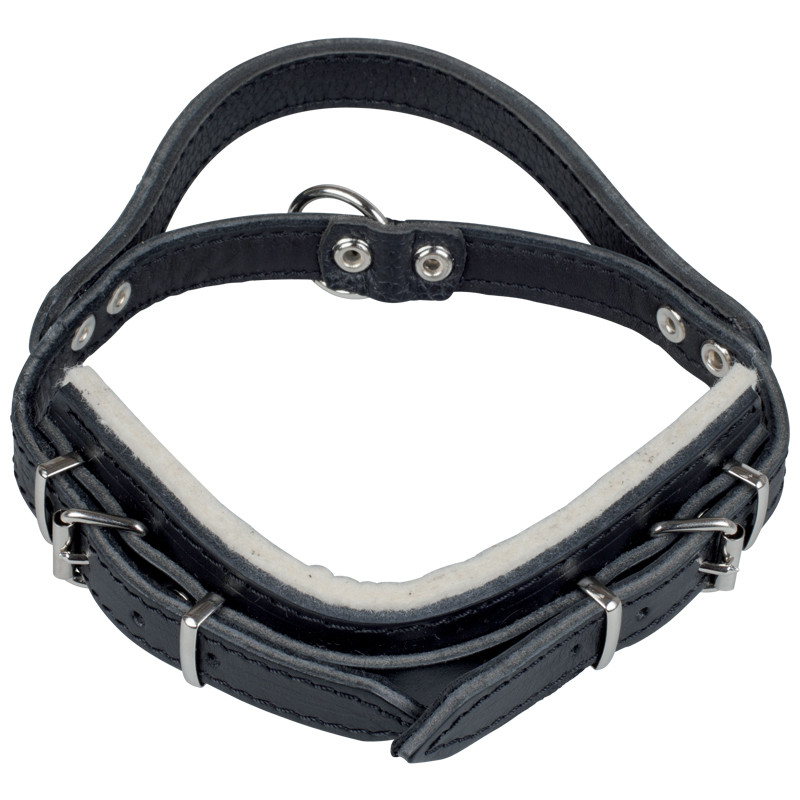 lederen halsband met hendel max.50cm